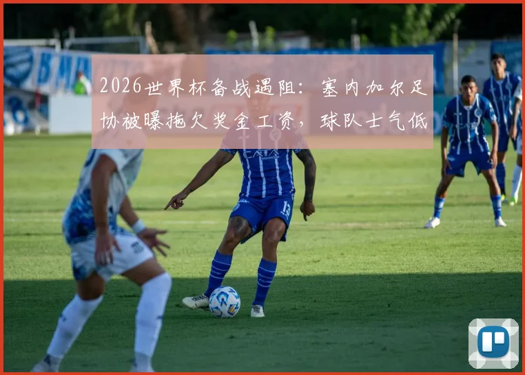 2026世界杯备战遇阻:塞内加尔足协被曝拖欠奖金工资,球队士气低迷引非洲媒体关注