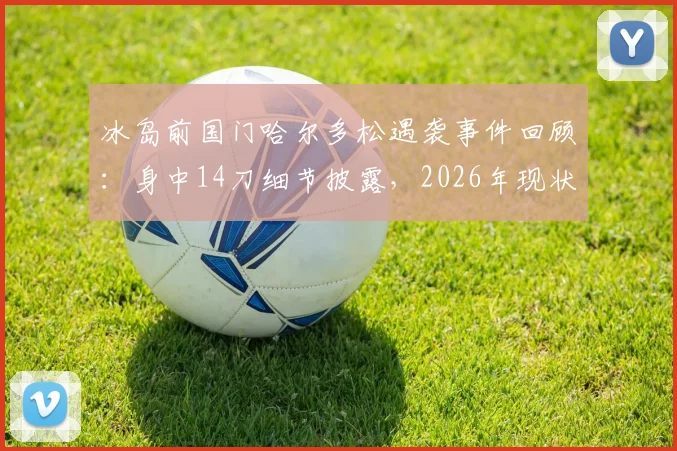 冰岛前国门哈尔多松遇袭事件回顾：身中14刀细节披露，2026年现状与案件后续进展追踪