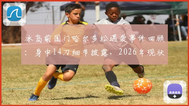 冰岛前国门哈尔多松遇袭事件回顾：身中14刀细节披露，2026年现状与案件后续进展追踪